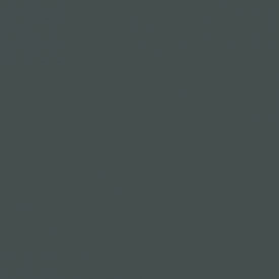 ANTHRACITE 0077 VSF-566Χ800