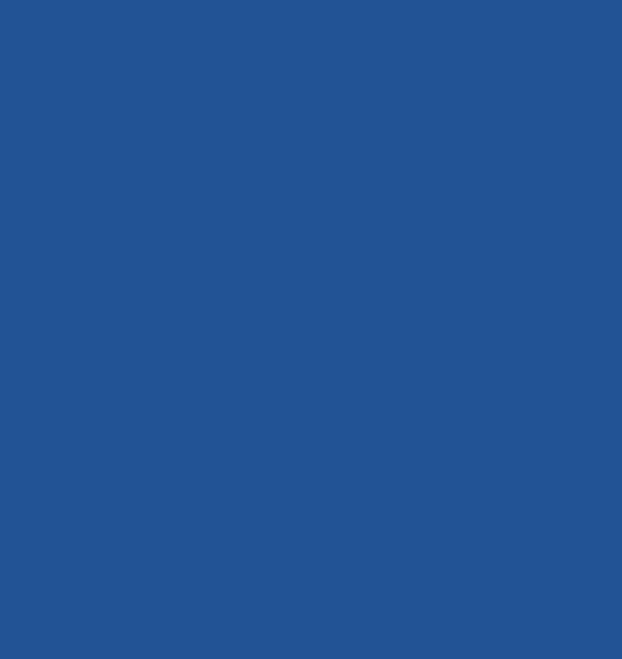 INDIGO BLUE 0237 VSF-566Χ800