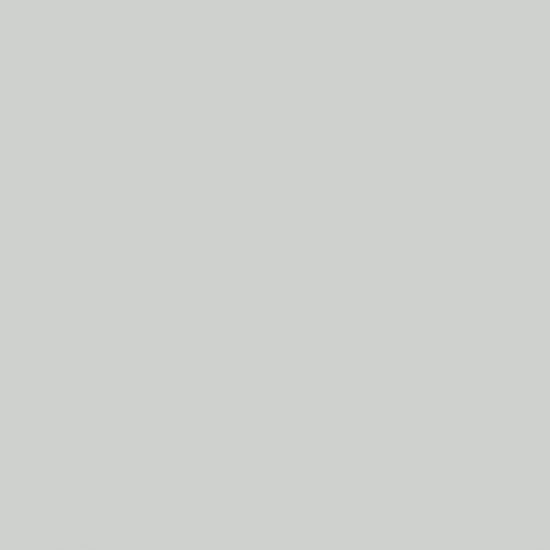 LIGHT GREY 0074 VSF-566Χ800